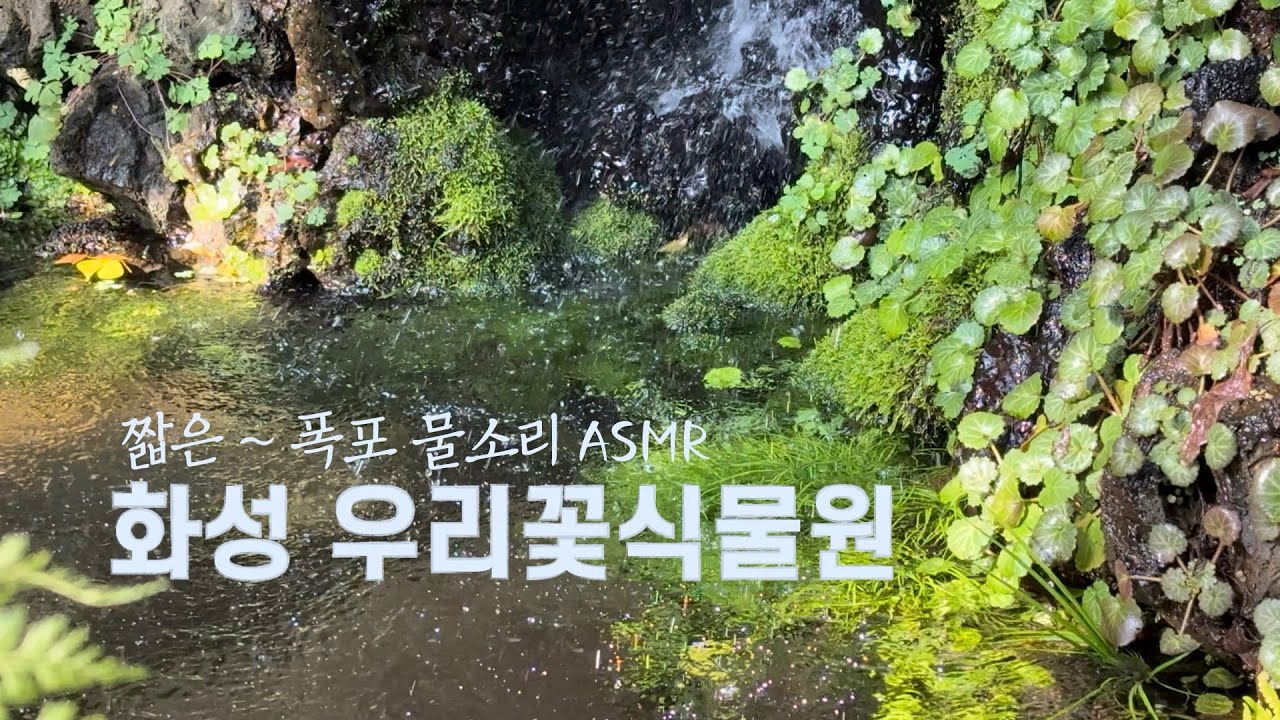 짧은(45초) 폭포 물소리 ASMR~| 화성 우리꽃식물원 #화성가볼만한곳 #화성여행 