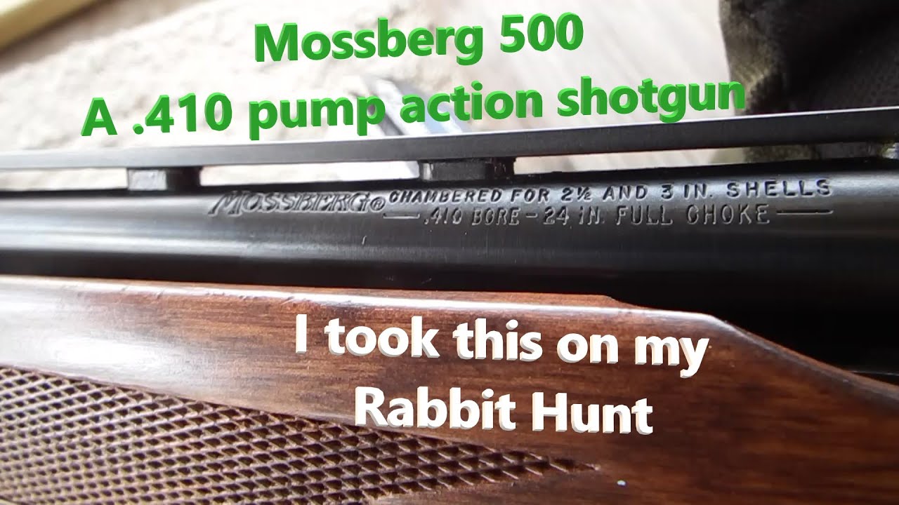 Mossberg 410 и охота на кролика