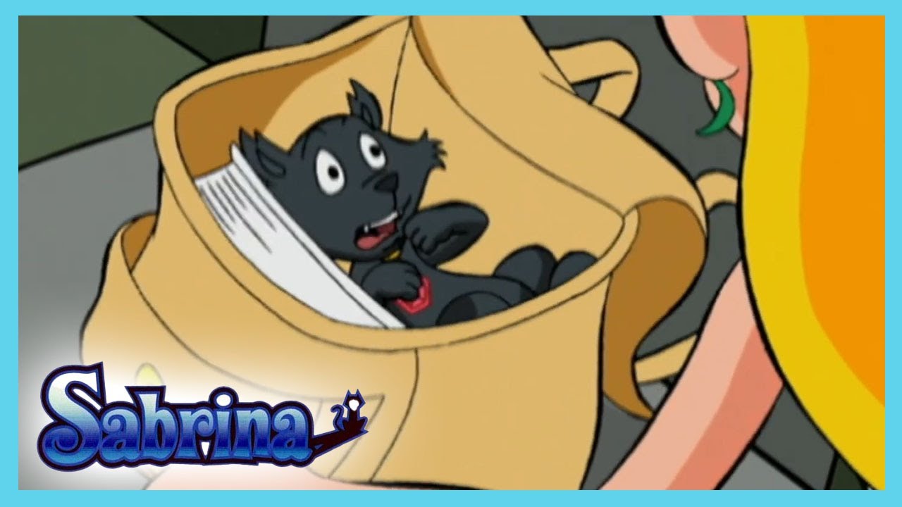 Sabrina: La serie animada - El gato escondido | Dibujos animados para niños | WildBrain Encantada