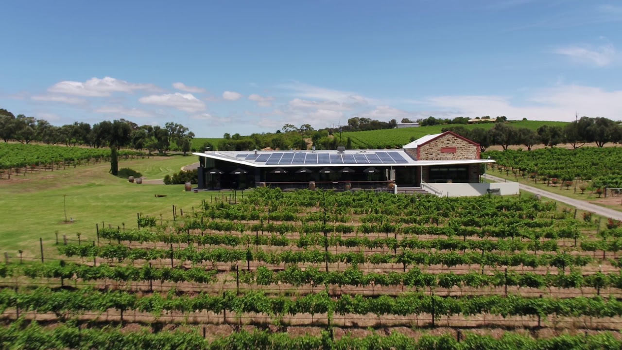 Angove Organic McLaren Vale Warboys Vineyard Fly over 3
