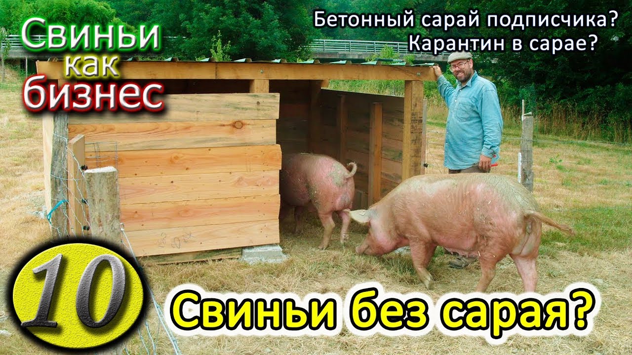 ДЕШЕВЫЙ САРАЙ ДЛЯ СВИНЕЙ
