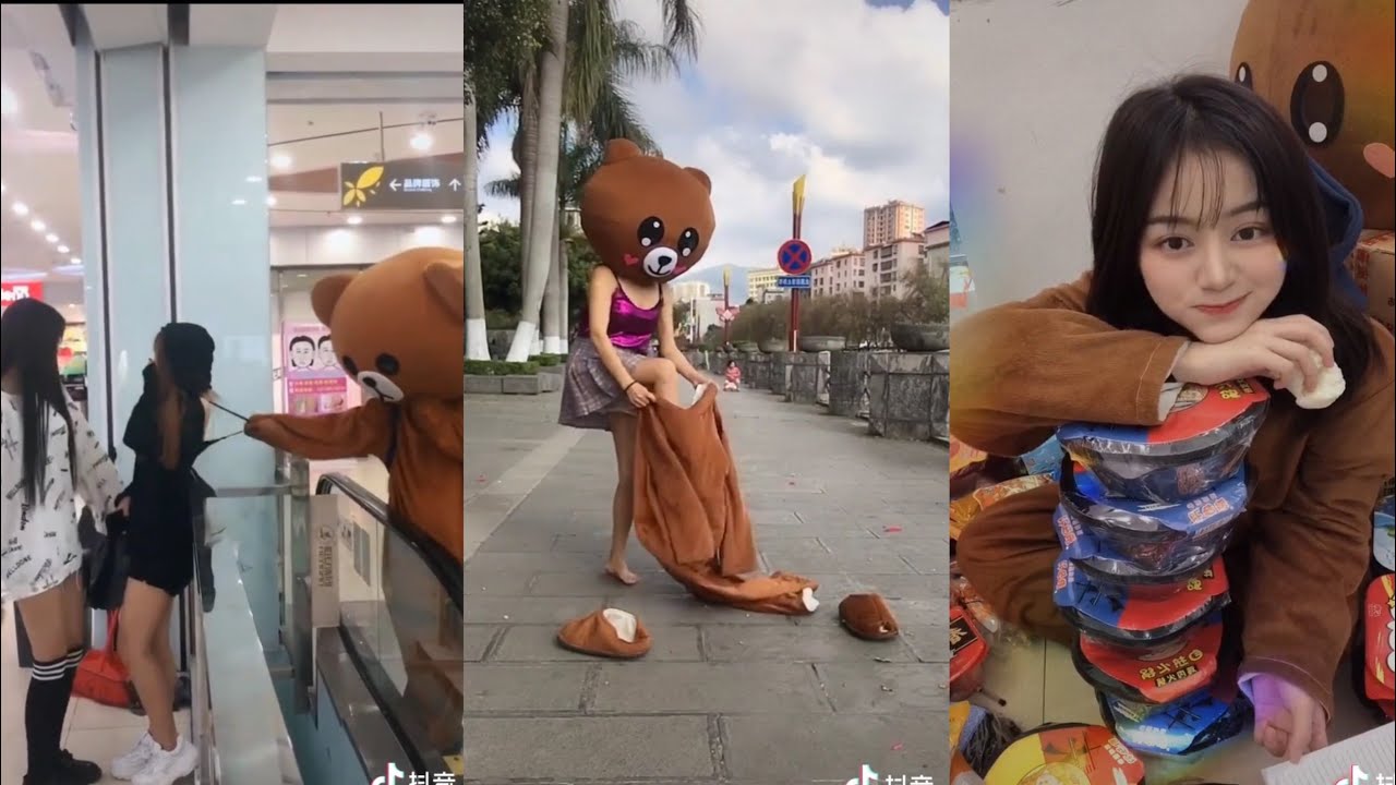 Tuyển chọn gấu lầy hay nhất #S10