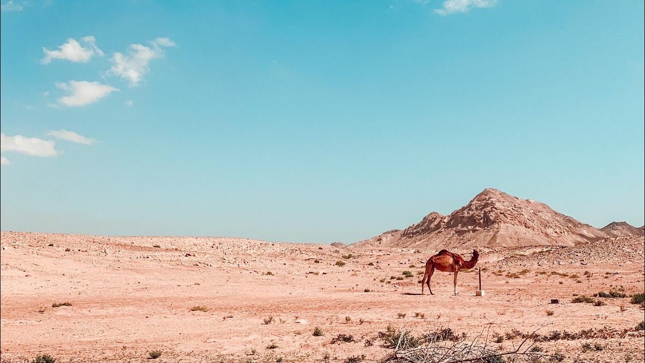 Oman 2022