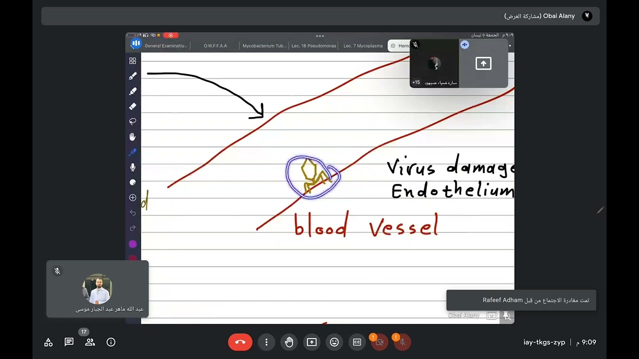 شرح ملخصات الباطنيه لدكتور هيثم