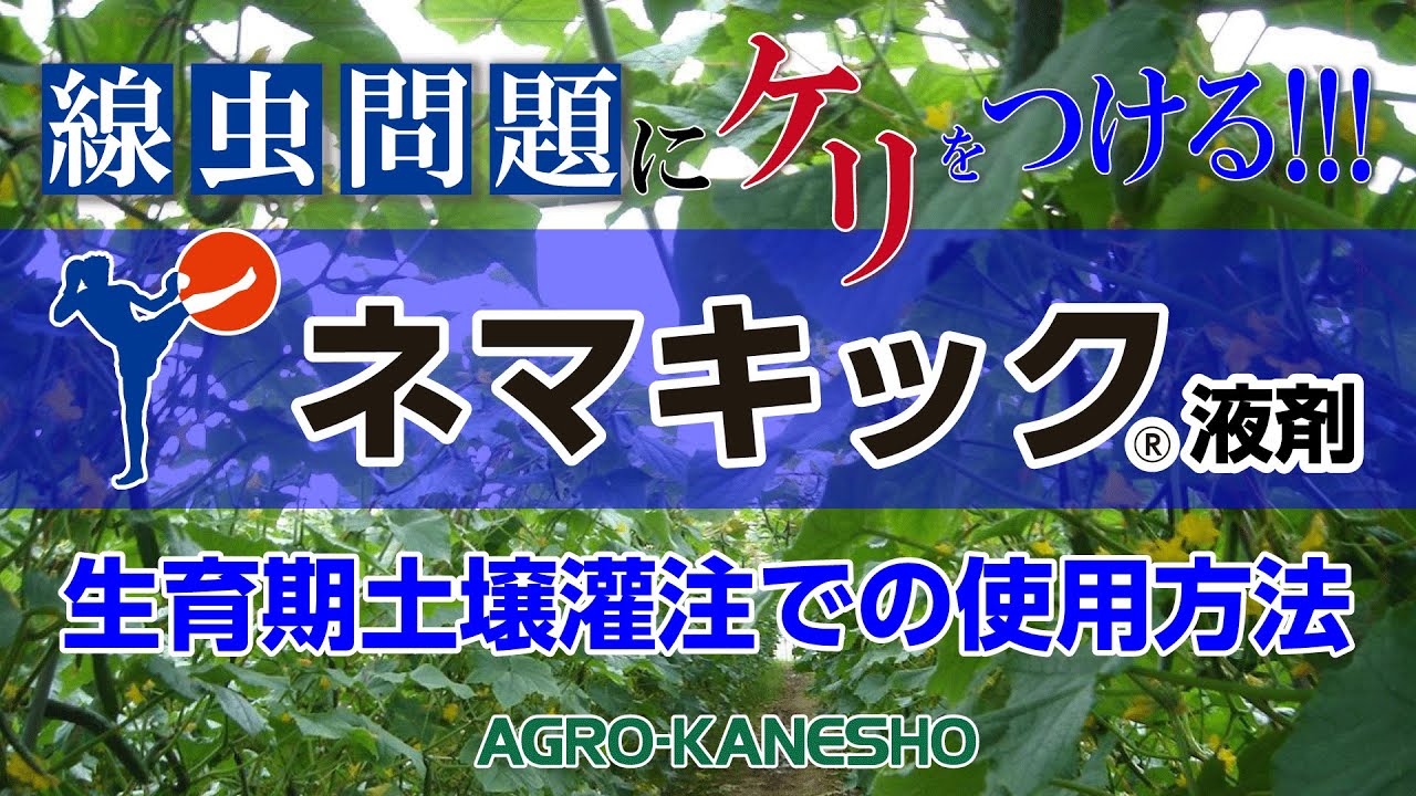 ネマキック液剤　生育期土壌灌注での使用方法