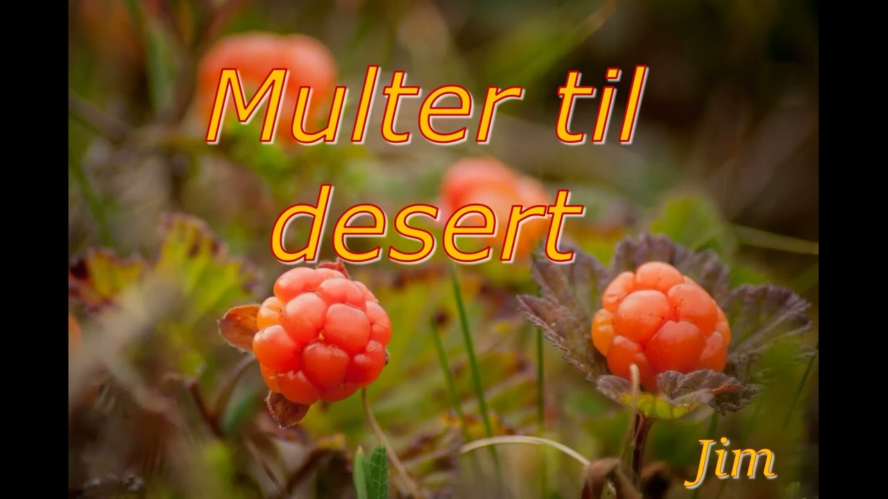 Multer til desert