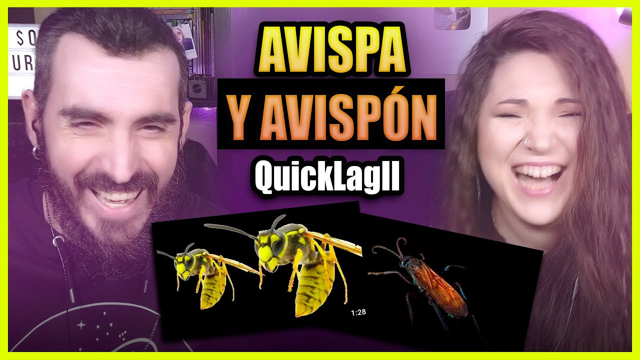 👉 AVISPA Y AVISPÓN | Somos Curiosos