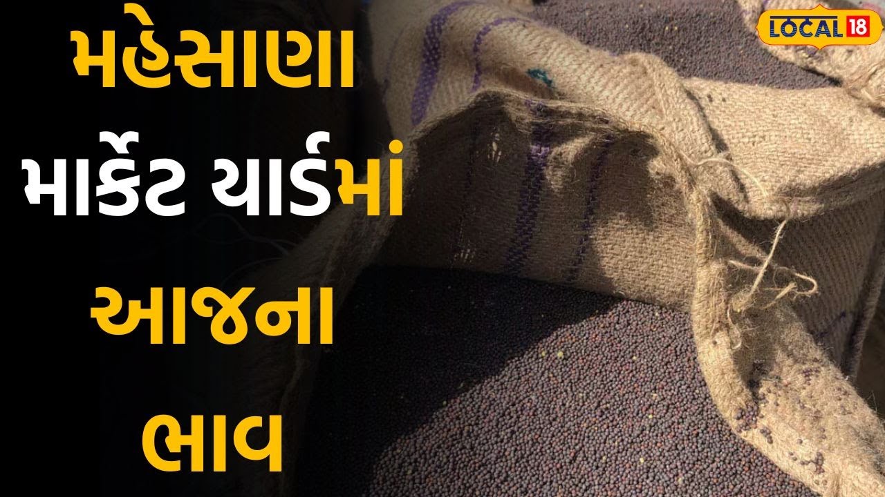 Mehsana market yard price today: મહેસાણા માર્કેટ યાર્ડમાં ઘઉંની આવક વધી, ભાવમાં થયો ઘટાડો | Local18
