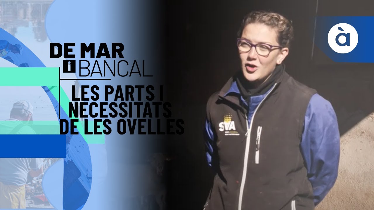 Les parts i necessitats de les ovelles per Miriam i Joel - De mar i bancal