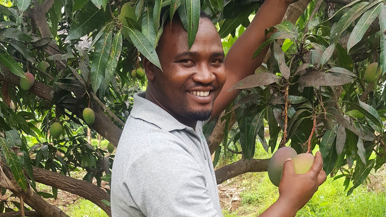 Sustainable Livelihoods Impact in Tanzania
