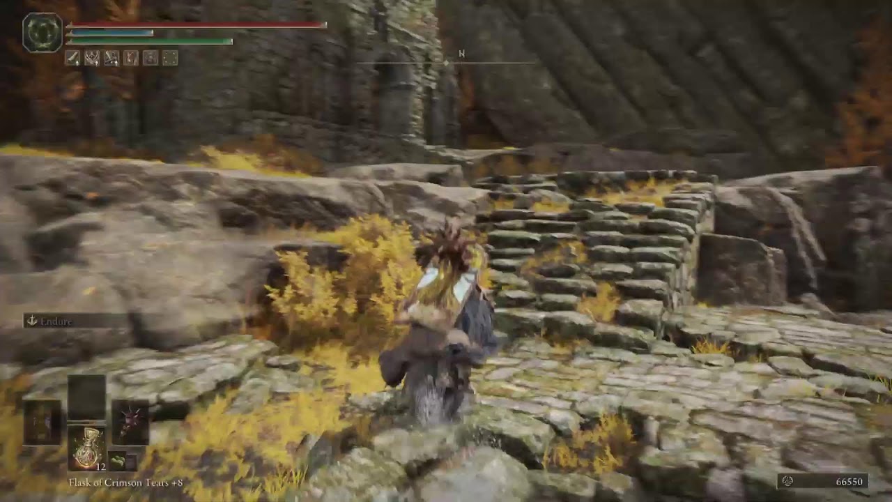 Elden Ring with @darksoulsbuildsandcosplays975 and JeffefefLordDemon Part 5.75