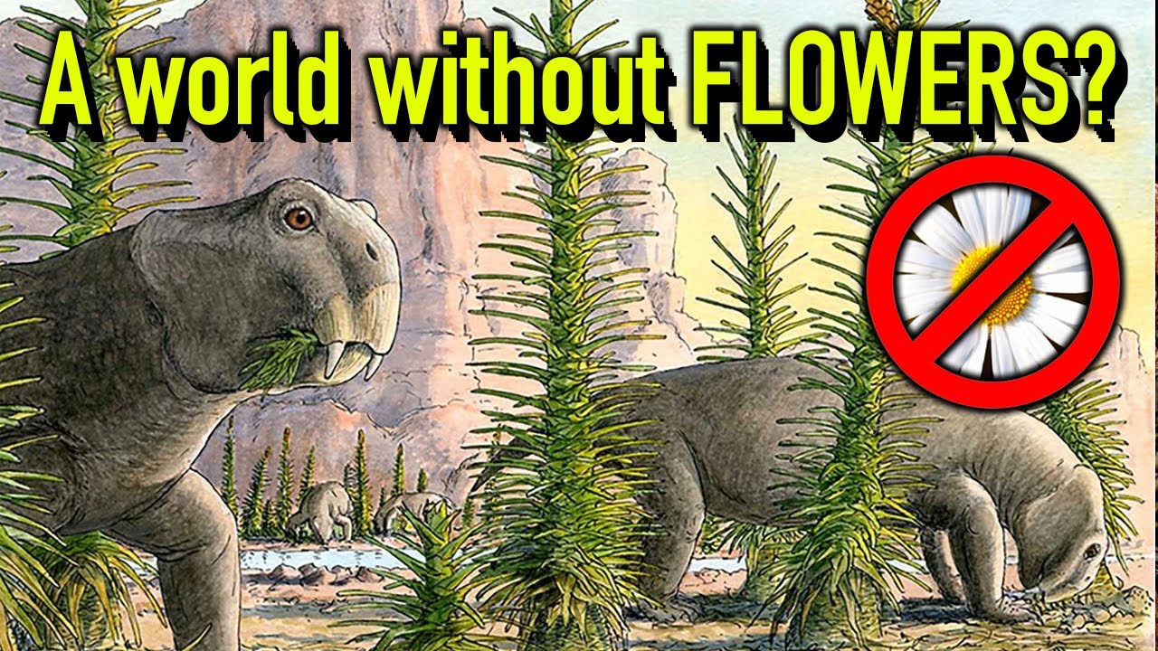 How Plants Evolved: A Complete Guide