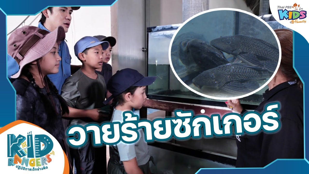 วายร้ายซักเกอร์ | Kid Rangers ปฏิบัติการเด็กช่างคิด