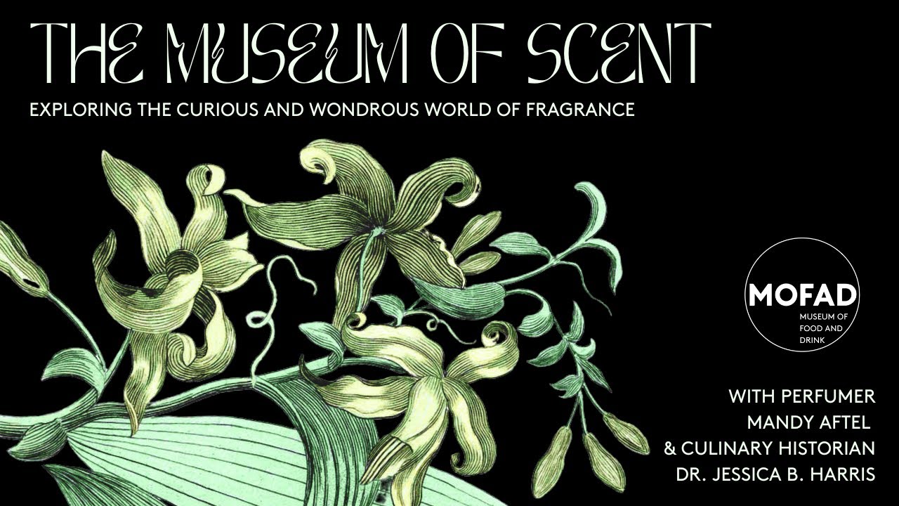 The Museum of Scent: Exploring the Curious and Wondrous World of Fragrance