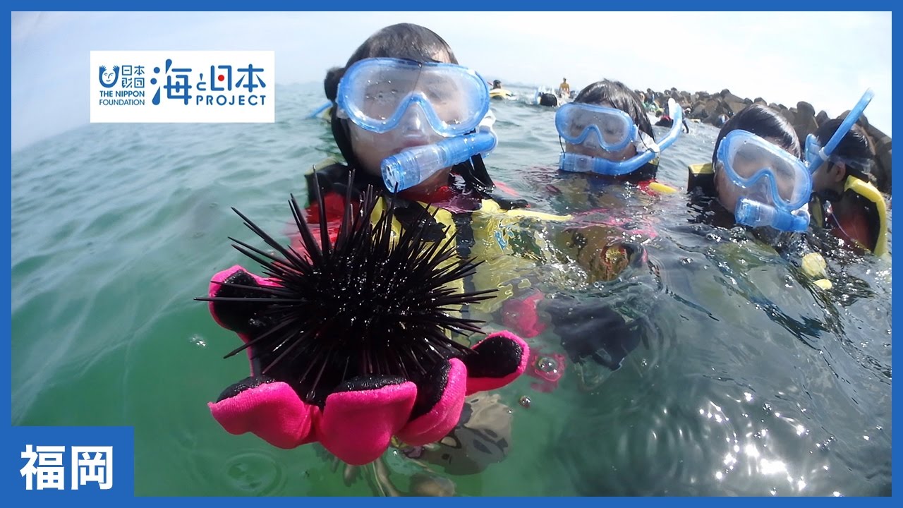 #12 『“ひろい”海の活動』で海を学ぼう！｜海と日本PROJECT in ふくおか