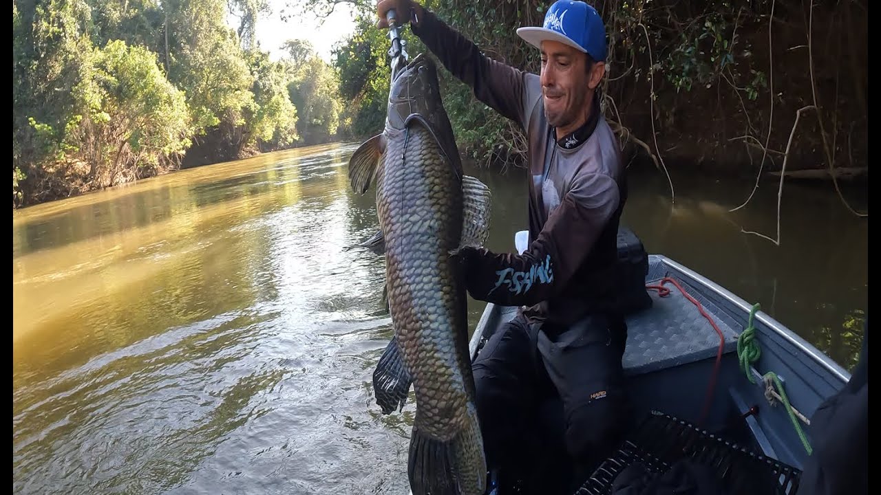 TRAIRÃO RECORDE - Rio Xingu - encontro com a fera Pousada Recanto Xingu jaus Cachorras e Cacharas