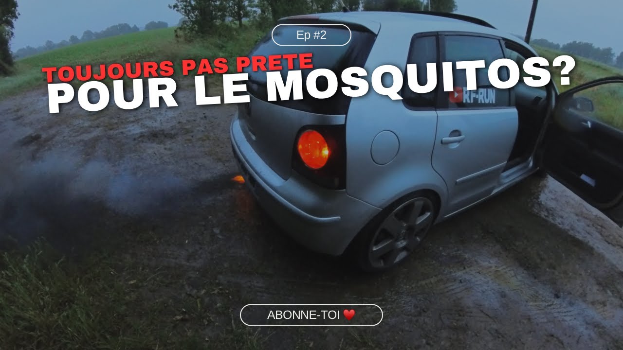 Polo 1.9 TDI ep2 prête pour le MOSQUITOS???