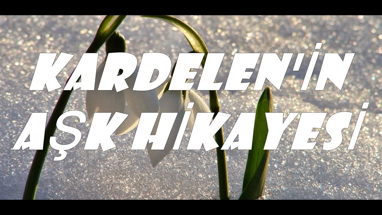 Kardelen'in Aşk Hikayesi