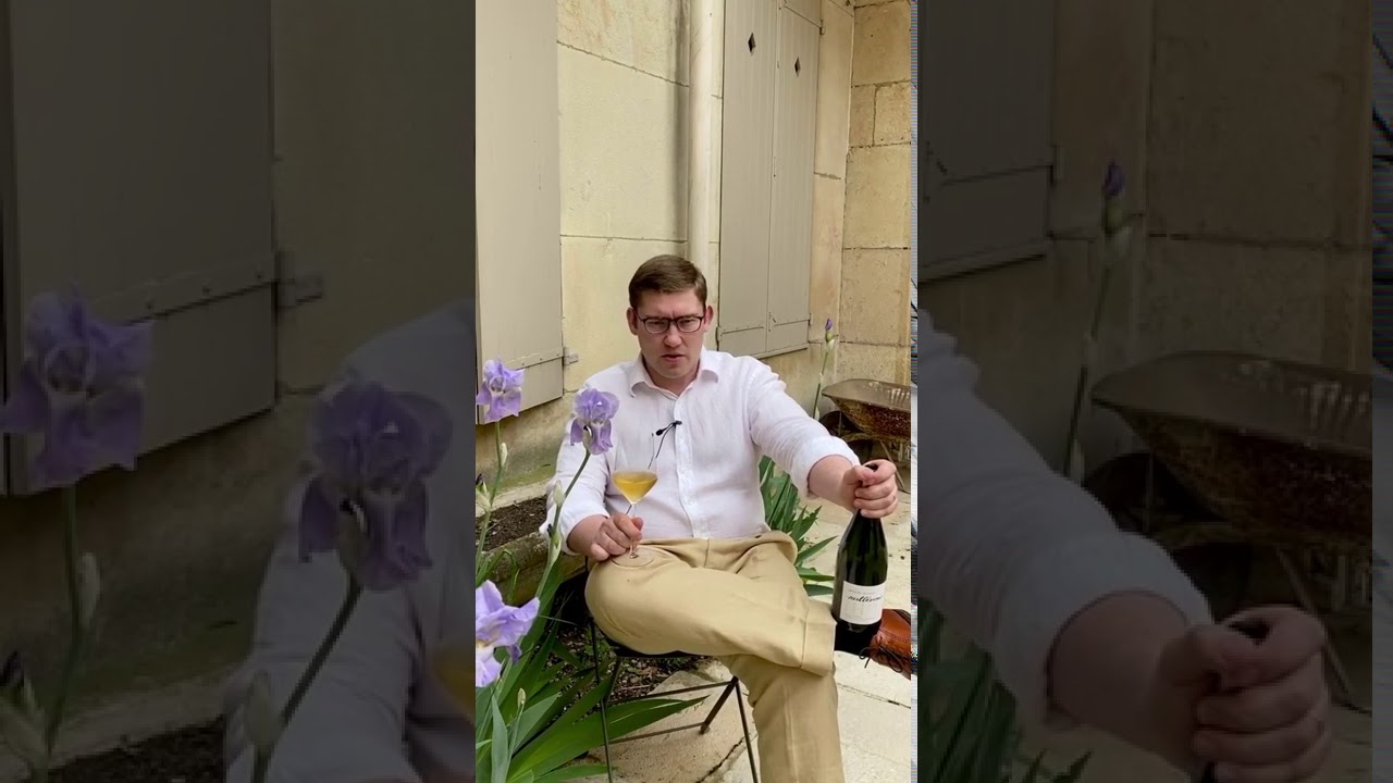 William K Selosse, Terroir, and Technique by Robert Parker Wine Advocate Reviewer William Kelley