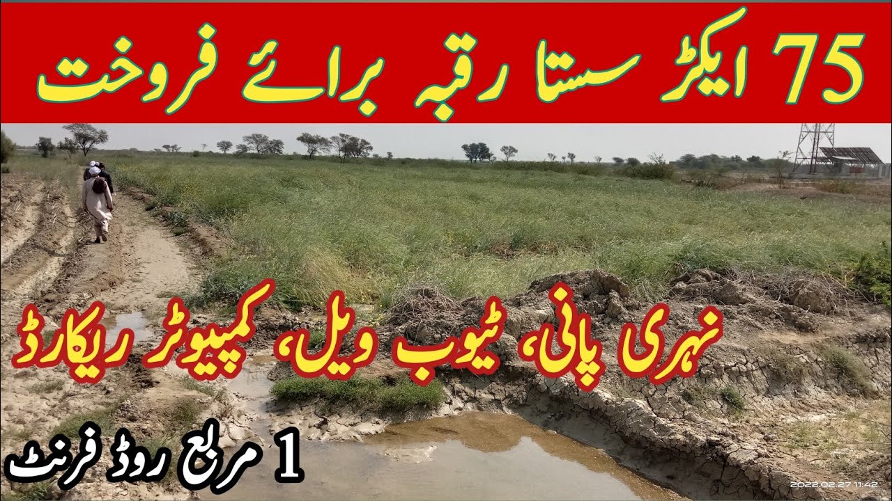 Agricultural land for sale | Land for sale in pakistan | cheapest land for sale | #ranaadsameer