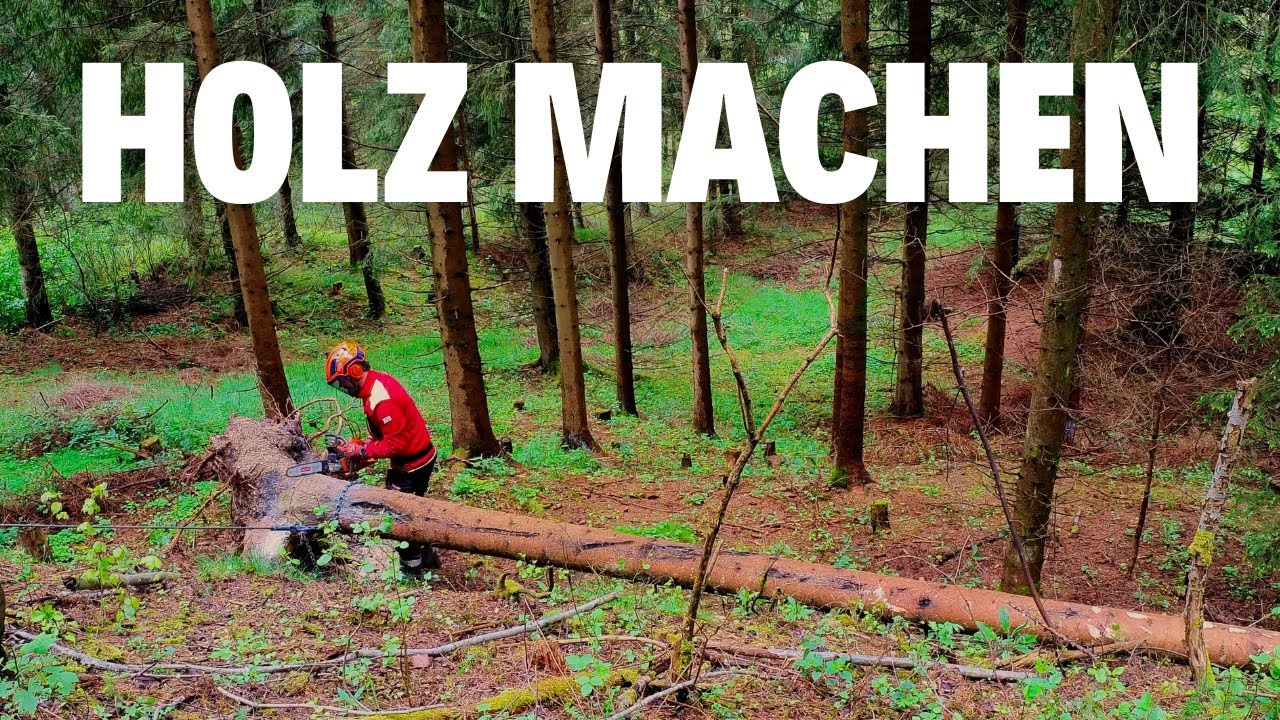 Windbruch & Brennholz machen | Lindner Lintrac 75 LS