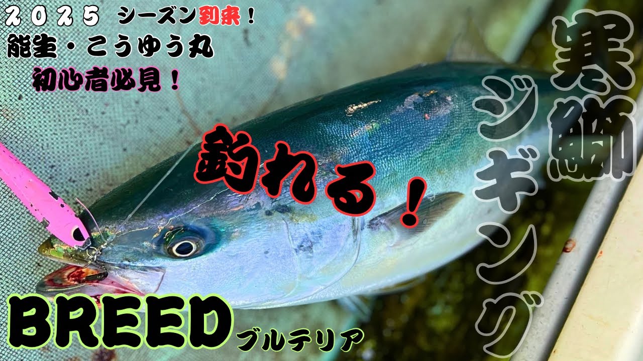 第百ノ陣【祝・寒鰤ジギング。初心者必見！BREED・ブルテリアで釣れる！釣れる！８ｋｇ～１０ｋｇオーバー】能生・こうゆう丸