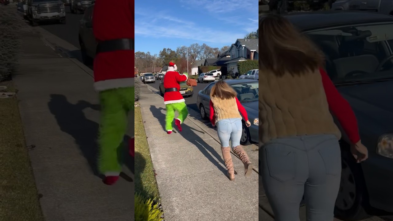Grinch Steals Ladies Purse  #shorts #shortsvideo #fight