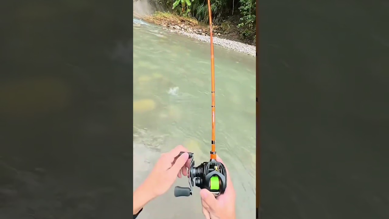 #fishing