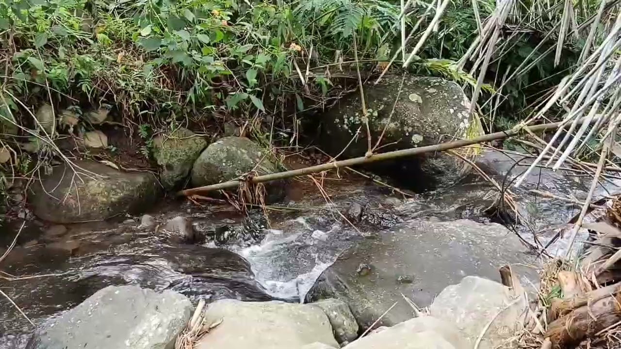 Cold Mountain River Walk - A Journey Trought  Pure Alpine Waters