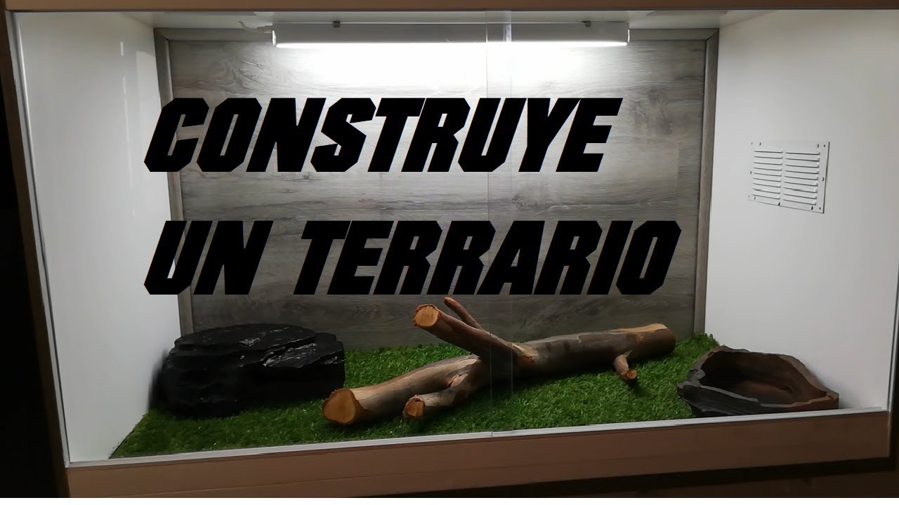 🐊TERRARIO DE LUJO👑 CASERO 🐸| FÁCIL Y SENCILLO 🐢| HÁBITAT REPTILES🦎