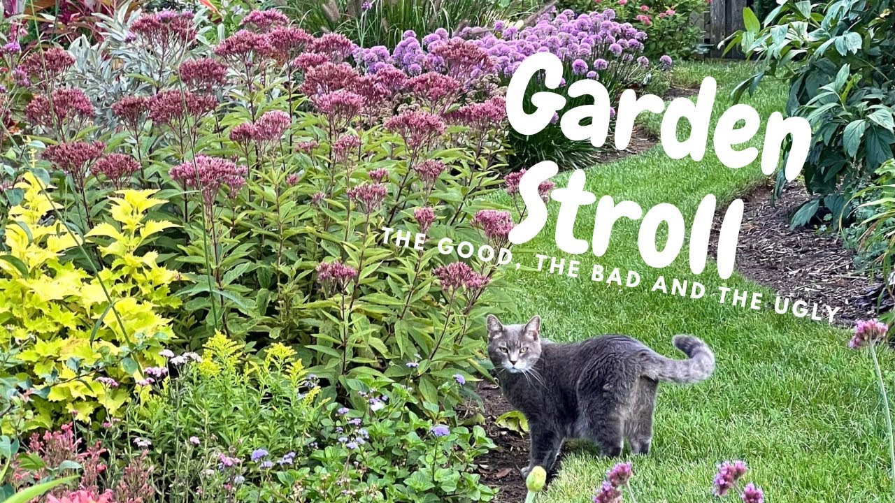 Late August Garden Walk and Some BIG Changes to Come | Here She Grows