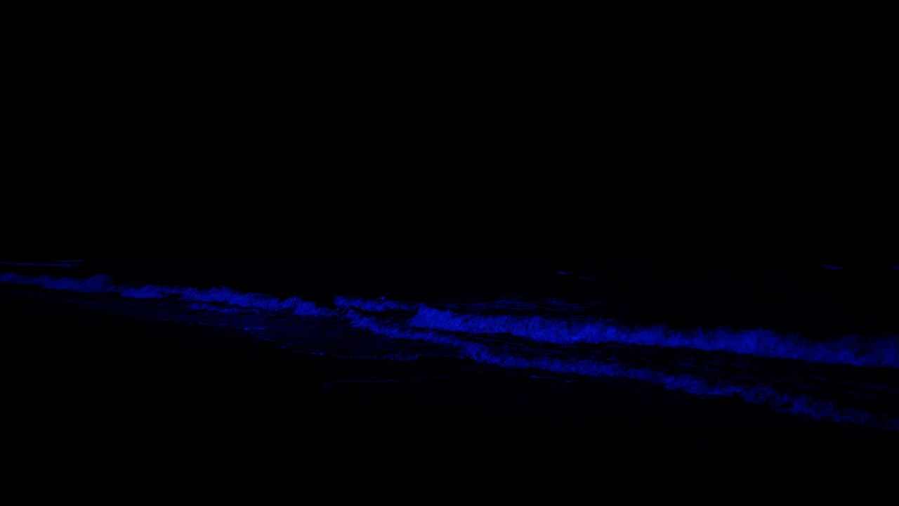 Deep Sleep with Ocean Sounds - Healing Ocean Waves for Sleep, Stress Relief, and Sleep Meditation