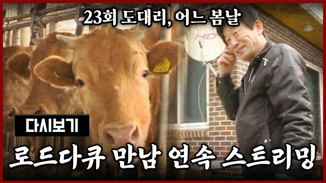 [다시보기] OBS 다시 보는 로드다큐 만남 23회 도대리, 어느 봄날 (풀영상)