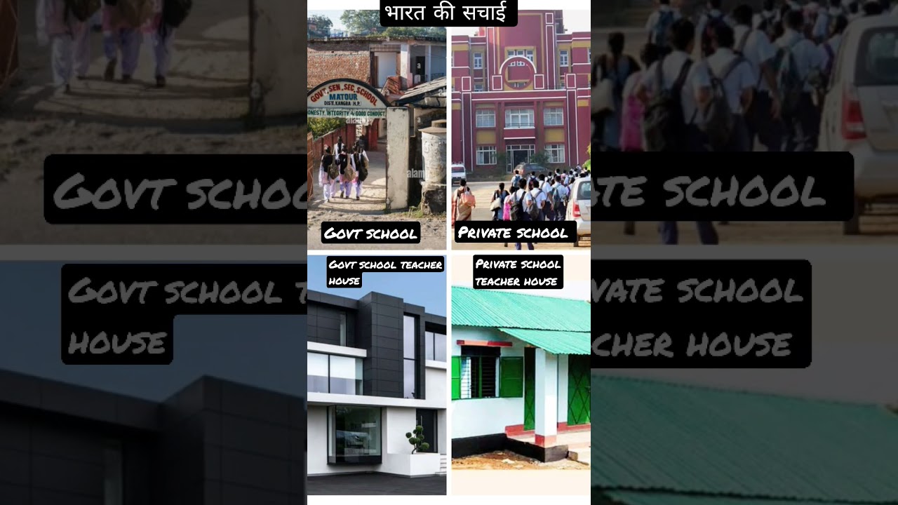 private vs government school