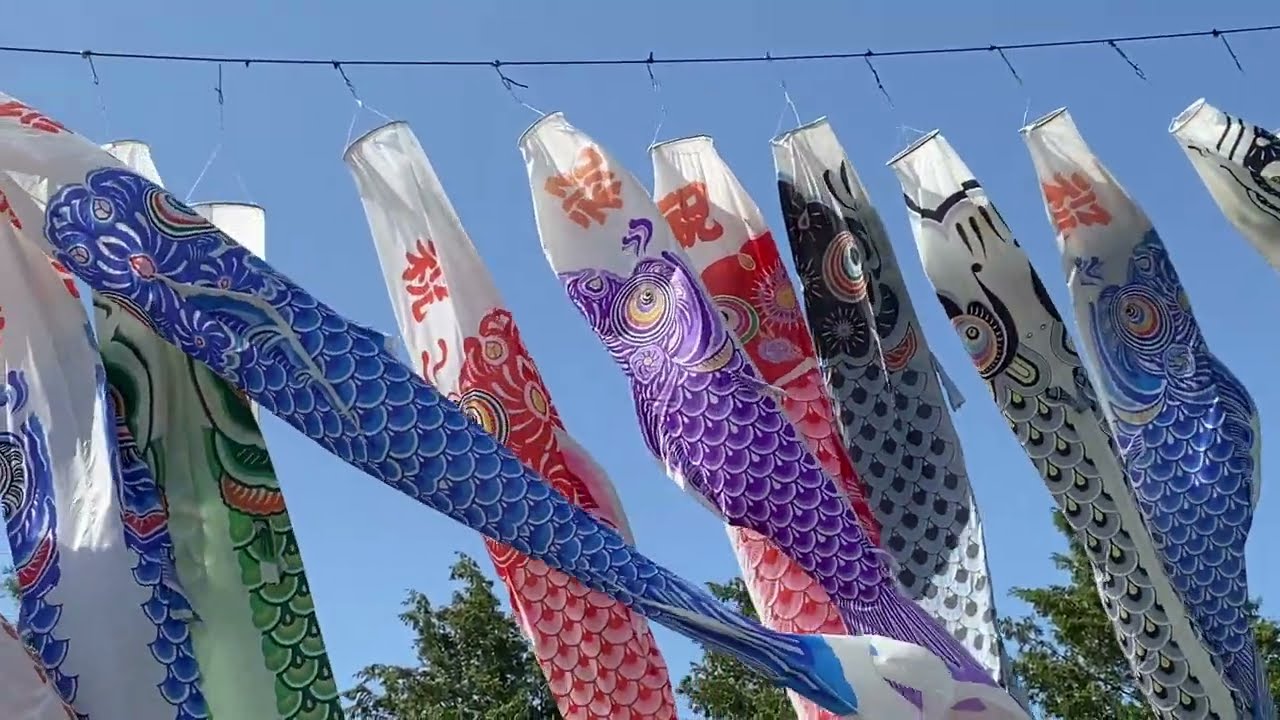 【小山総合公園】鯉のぼり群遊を見に行きました