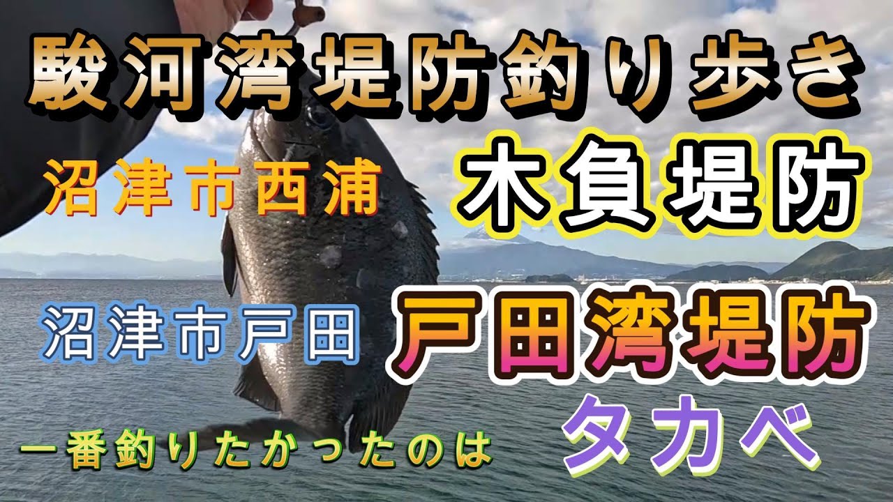駿河湾の堤防を釣り歩く～木負堤防、戸田湾堤防