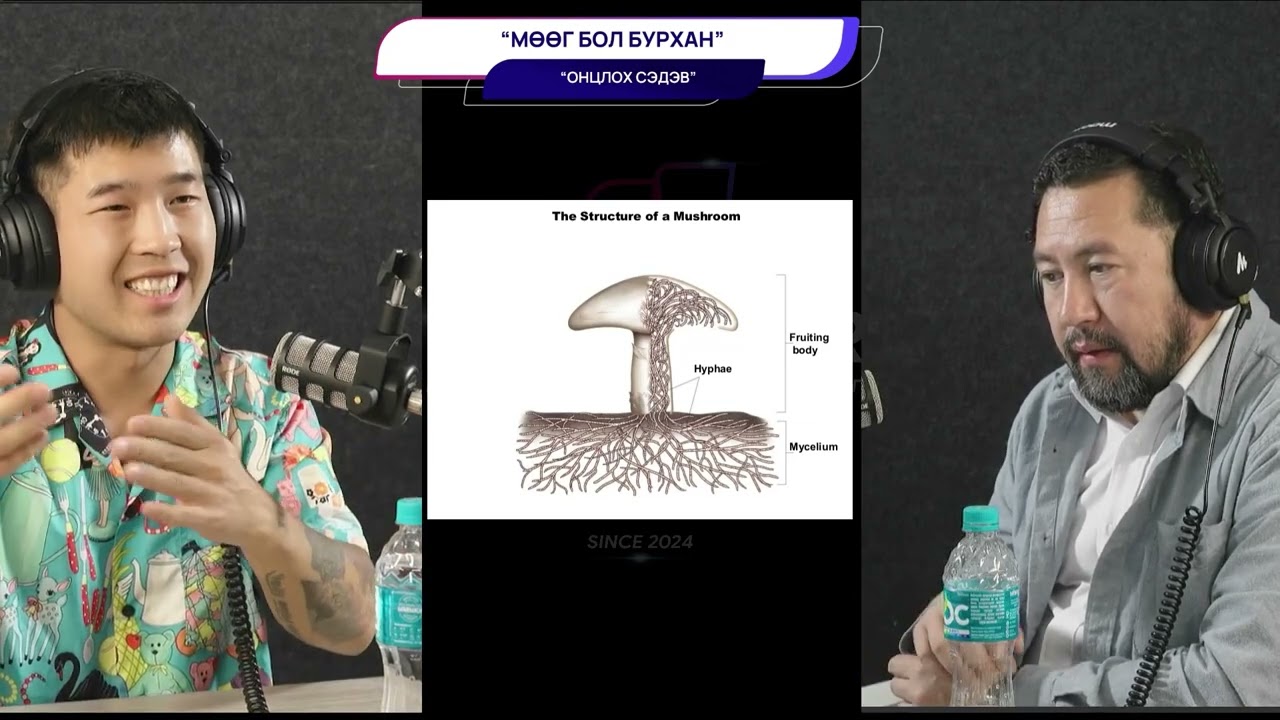 Мөөг бол бурхан - ОНЦЛОХ СЭДЭВ