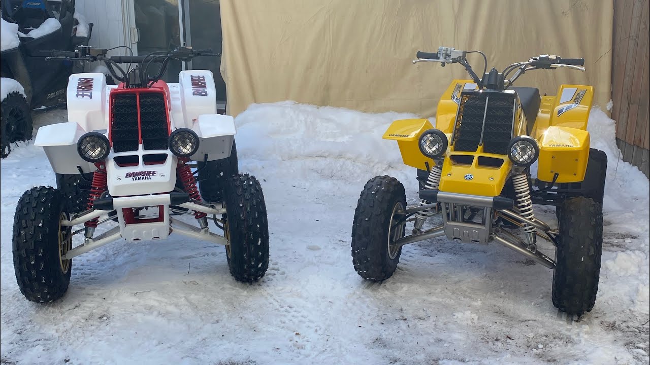 Diff&eacute;rence between a j-arm 1987 Banshee to a a-arm 2006 Banshee