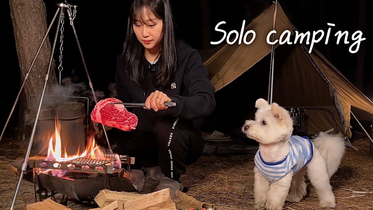 애견동반 캠핑 | 숲 or 바다 어디로? | 난 둘다 있는 곳으로😎 | 군반합&숯불구이🥩🔥| 블랙디어 신상 면텐트 개시 | 운여해변 야영장 | solo camping | 솔로 캠핑