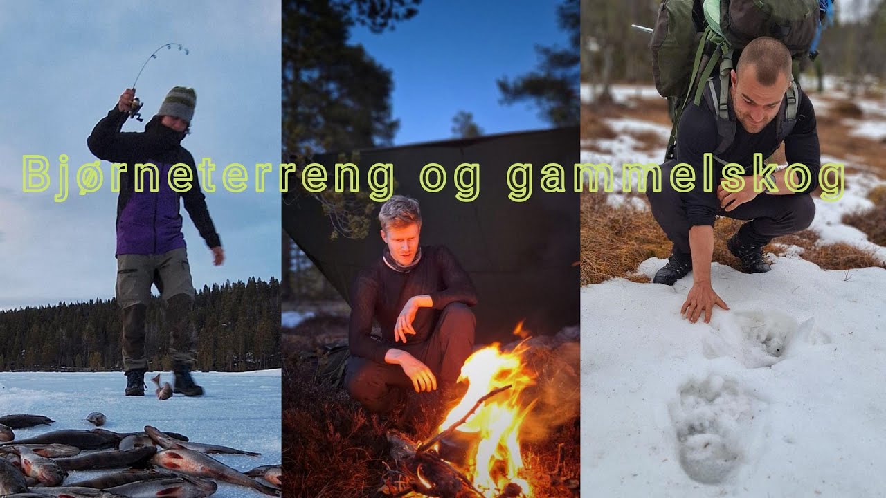 Guttastemning i Gutulia