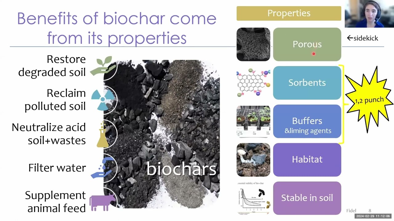 Using Biochar to Remediate Mining Pollution