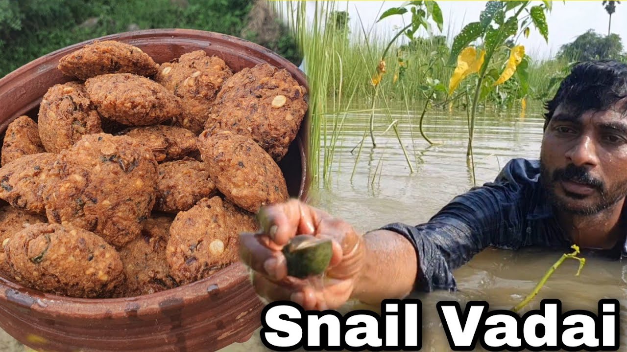 புத்தேறியில் நத்தை வேட்டை | நத்தை வடை | Snail hunting and Making Vada recipe | Andrum indrum