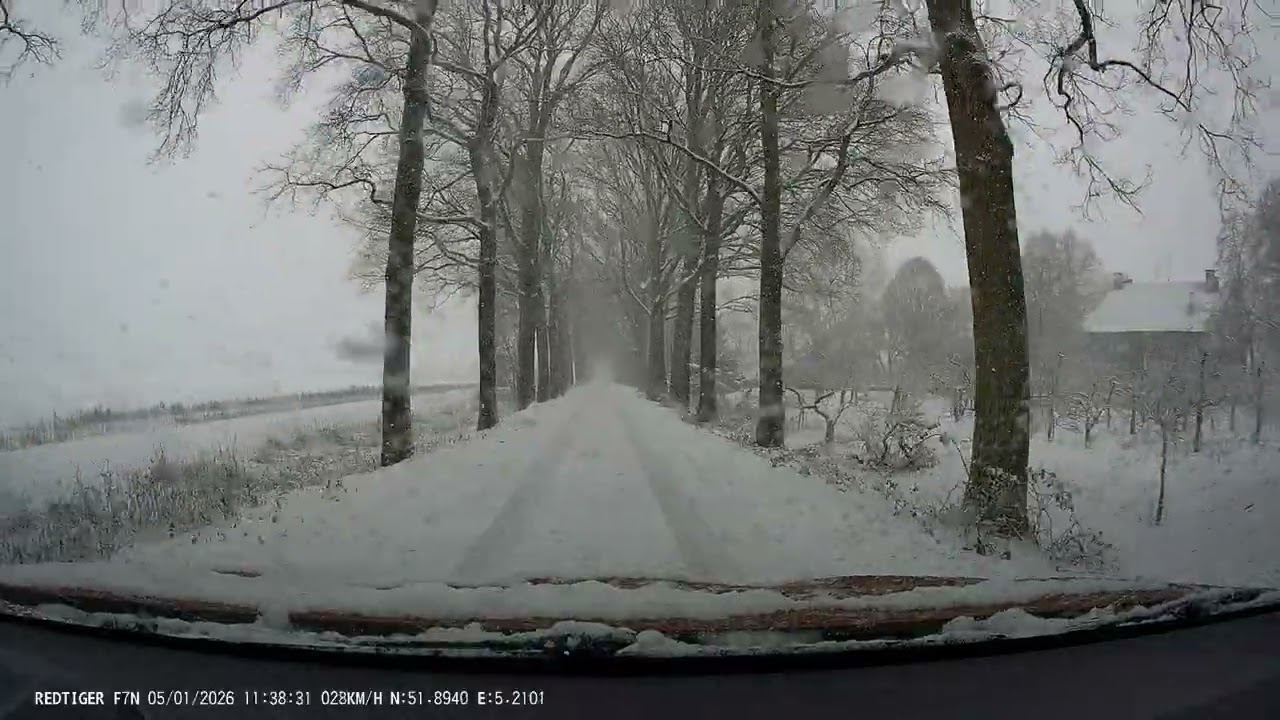 Driving Through The Snow
