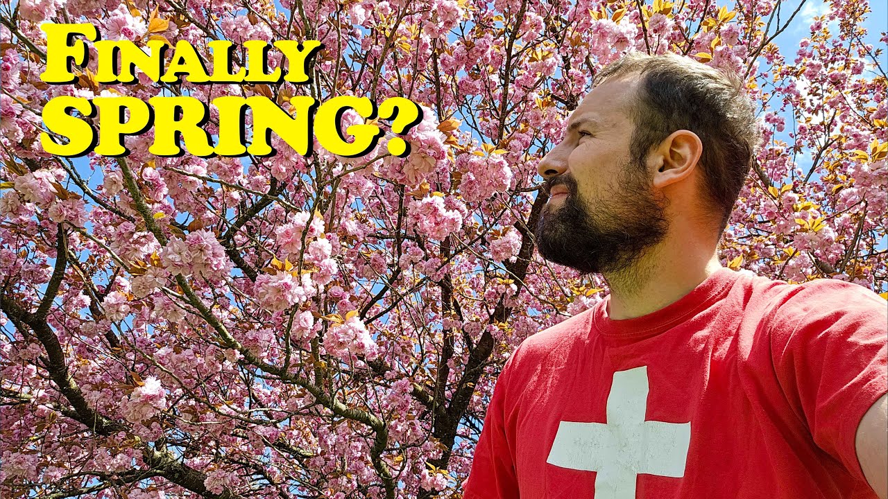 Travel Switzerland in APRIL? What you NEED to KNOW!