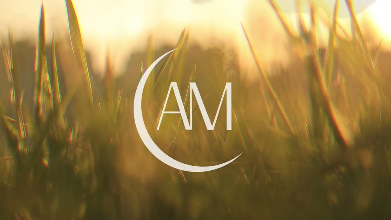 3 Minute Guided Meditation for Anxiety | Red Balloon Release (Nervous System Reset)