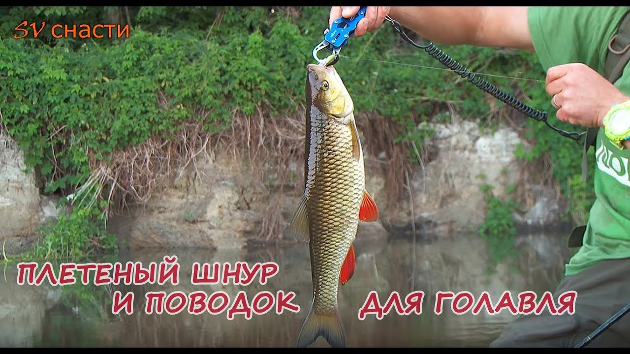 Плетеный шнур и поводок для ловли голавля. СВ-снасти