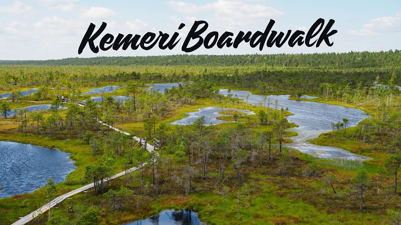 Boardwalking through Kemeri Nationalpark | Original Sound