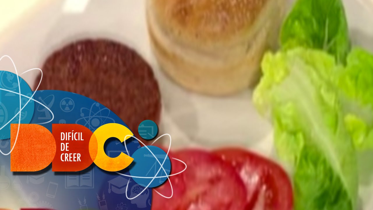 Comida del futuro | Dif&iacute;cil de Creer