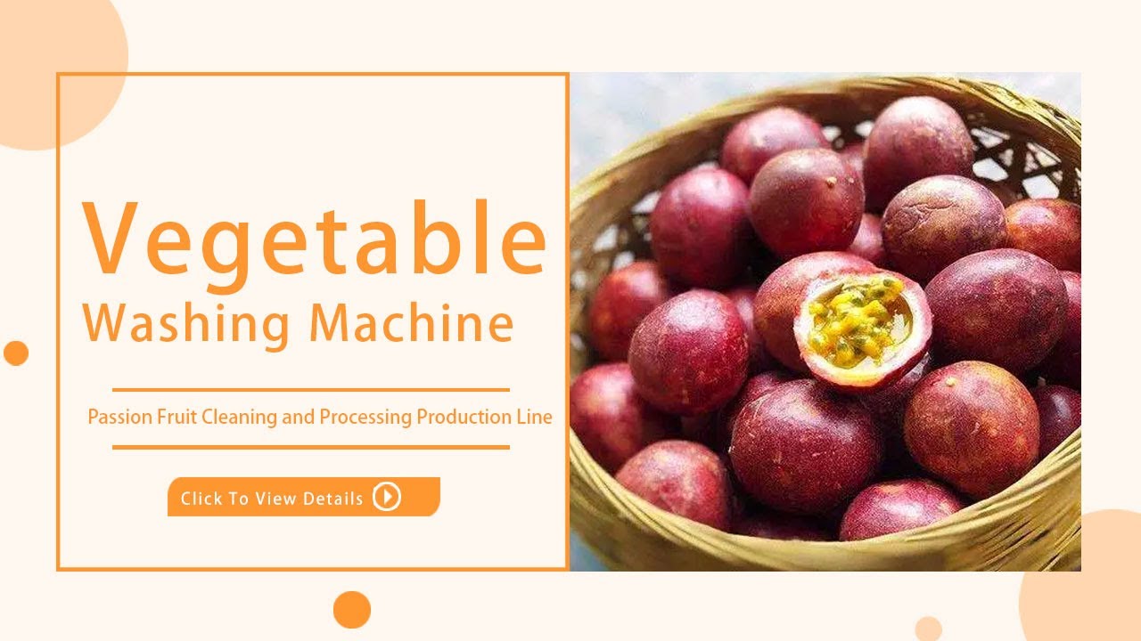Passion Fruit Cleaning and Processing Production Line