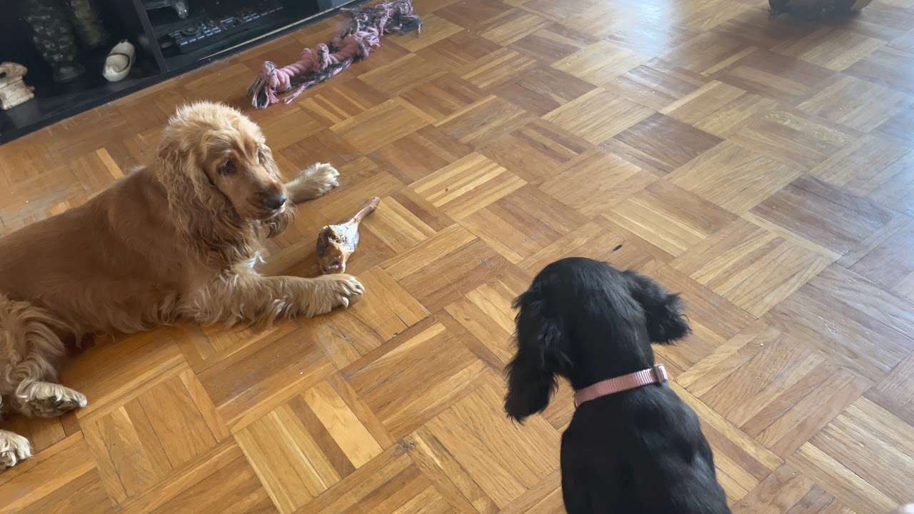 Who gets to eat?